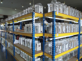 The colorful fighting fish is individually separated in different containers to prevent it from...