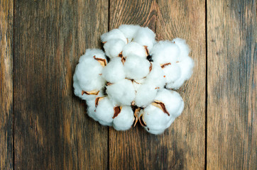 group Cotton plant flowers on brown wooden background