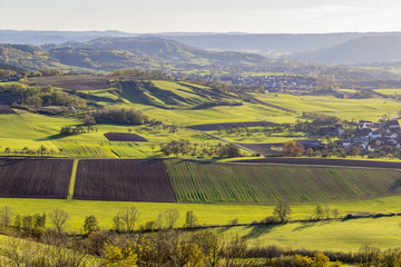 Obraz premium around Einkorn near Schwaebisch Hall