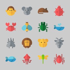 Icons about Animals with mosquito, rat, dragonfly, tiger, beetle and squid