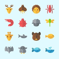 Icons about Animals with ant, squirrel, bat, firefly, hippopatamus and fish