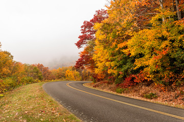 Naklejka premium fall colors and landscape scenes
