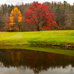 Obraz premium fall colors and landscape scenes