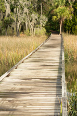 walkway through ocean marsh and grass marsh 
