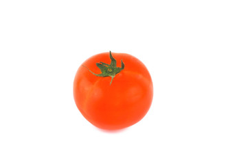 Tomatoes on white background