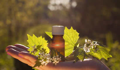 Natural remedies - Fresh herbs