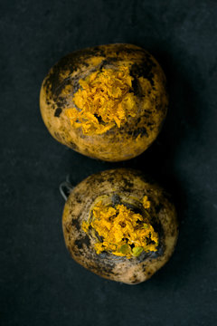 Turnip. Pair of ripe and delicious yellow turnip on the dack blue background