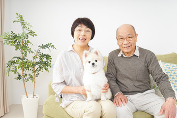 犬を飼うシニア夫婦