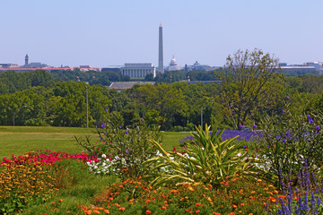 Washington DC panorama in spring with blooming flowers and capital city attractions along Potomac River. City monuments and other landmarks are on display in US capital landscape.