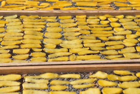 Dried slice sweet potato at Ibaraki Japan, winter homemade local food