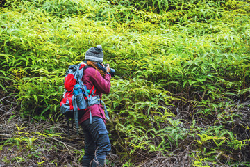 Photographer asian women Traveling photograph Nature. travel relax in the holiday walk in the forest. travel relax in the holiday.  Thailand