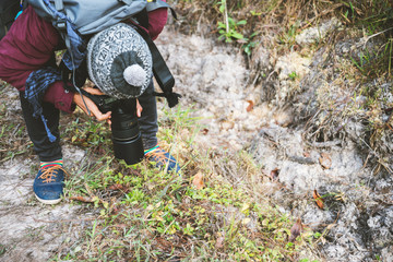 Photographer asian women Traveling photograph Nature. travel relax in the holiday walk in the forest. travel relax in the holiday.  Thailand