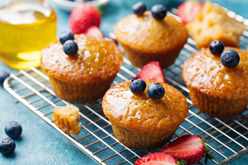 Muffins,cakes with fresh berries and honey on cooling rack