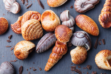 Chocolate candies, traditional Belgian shell shape. Black slate background. Top view