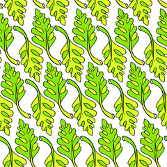 a plant pattern based on palm leaves. Vector illustration on white background. Hand drawing