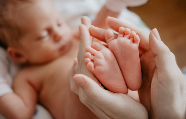 Cute newborn feet in mother hands. Happy Family concept.