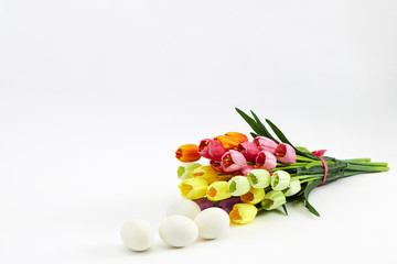 Easter eggs and tulips on white