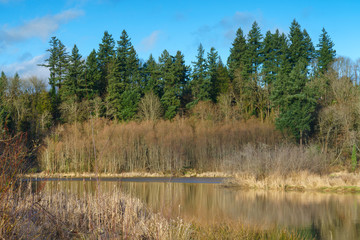 Obraz premium Deschutes River