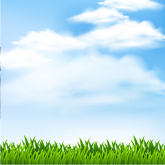 Fototapeta na wymiar Background scene with green grass and blue sky