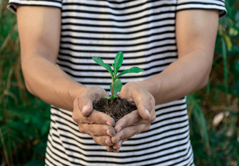 Ecology concept hands holding plant a tree sapling with on ground world environment day