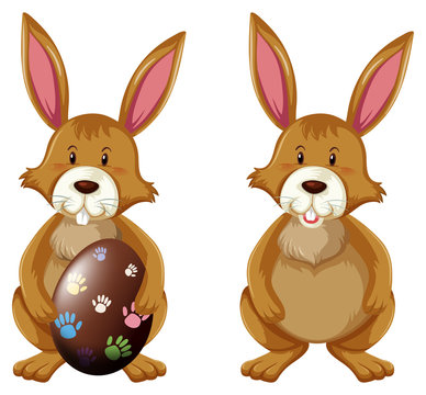 Brown bunny with easter egg