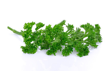 parsley isolated on a white background