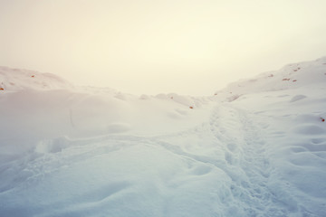 Beautiful landscape of the Snow with Tundra arctic in Teriberka ,Russia.