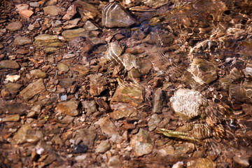 the river and the stones in the water
