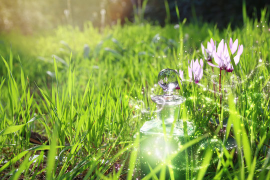 Fototapeta Magical fairy dust potion in bottle in the forest.