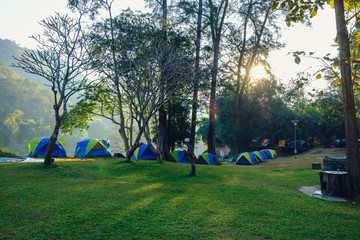 Camping tent in the lawn with sunlight morning  of forest ,In national park of thailand