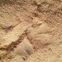 sand texture background