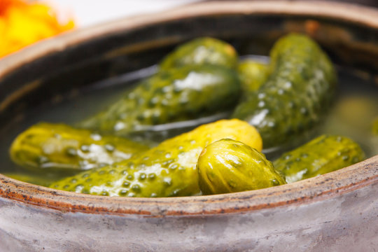 Fresh prepared homemade pickled cucumbers in clay pot