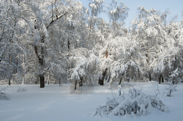 Winter landscape with a pond