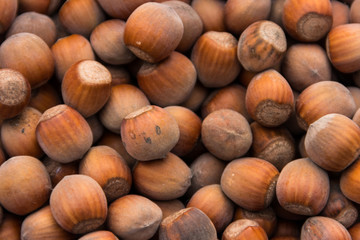 Food background of the hazelnuts. Fresh filbert close-up
