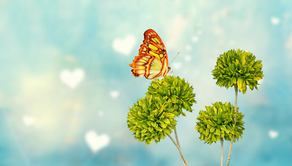 Muttertagsgruß - Blumen mit Schmetterling