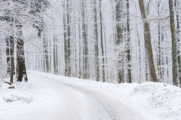 Winterlicher Waldwanderweg