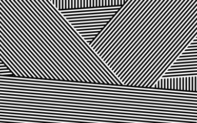 2667948 Zebra Design Black and White Stripes Vector