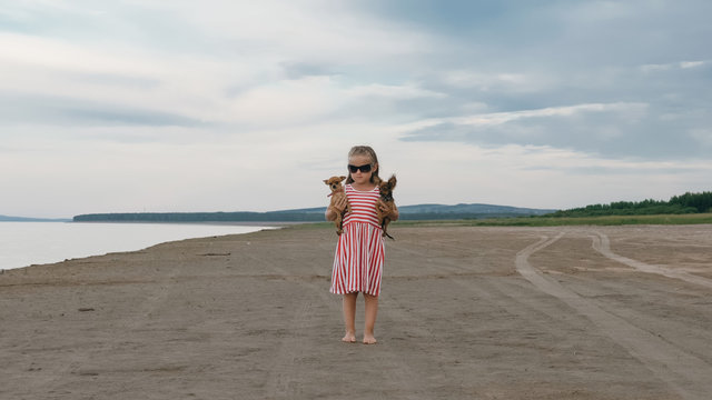 One Children Stay On The Beach And Dogs. Kid Play With Dogs. They Squeeze Them, Throw Them Up. The Girl Are Wearing Sunglasses. Dogs Toy Terrier.