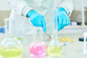 Close-up shot of unrecognizable scientist wearing rubber gloves and white coat using Petri dishes and scalpel while carrying out quality control of vegetables in modern lab.