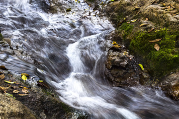 Water stream flowing running over rocks and moss into a brook of the waterfall in the tropical forest.