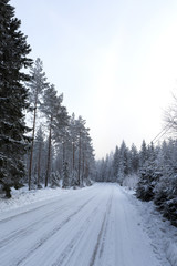 Snow covered road in the countryside in Finland.