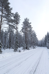 Snowy road in the countryside in Finland. Trees around the curvy road. Slippery to drive. Drive through winter wonderland.