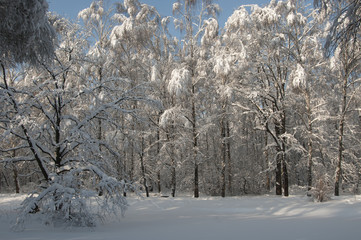 Winter landscape with a pond