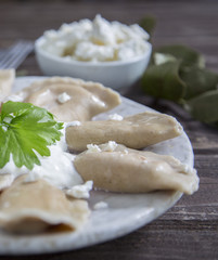 Russian dumplings with cottage cheese