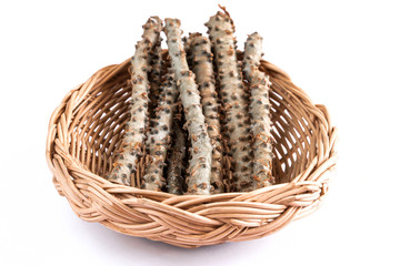 Obraz premium Tinospora crispa (L.) Hook.f. & Thomson. Heart - leaved moonseed in basket weave isolated on white backgound.