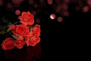 красивая розовая роза на черном фоне с отражением          