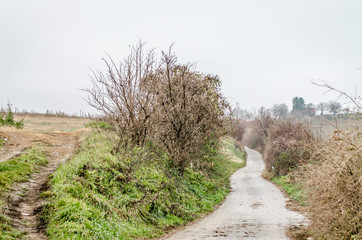 Plowed in winter field (arable land) 