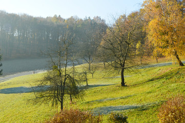 Naklejka premium Morning in autumn with Light from the sun melts ice on the grass