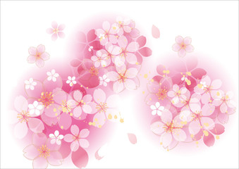 咲くふわふ 桜 丸 白