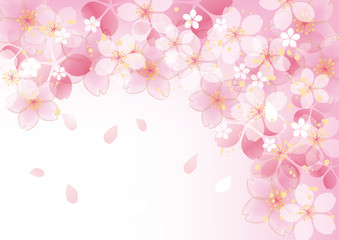 Fototapeta na wymiar 咲くふわふ 桜